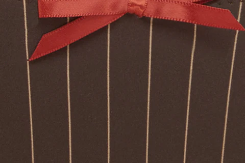 Jeanie Bikini Bottom | Brown Pinstripe - Image 9