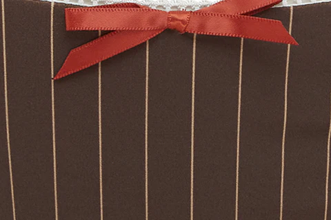 Juni Bikini Bottom | Brown Pinstripe - Image 7